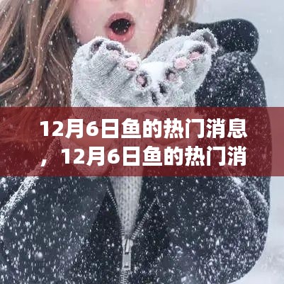 深度解析，揭秘12月6日魚的熱門消息背后的觀點(diǎn)與立場