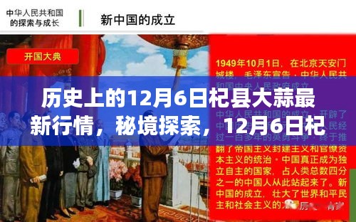 秘境探索，揭秘12月6日杞縣大蒜行情與小巷深處的蒜香特色小店