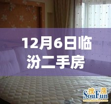 揭秘臨汾二手房市場，熱門房源探秘與小巷深處的隱藏寶藏