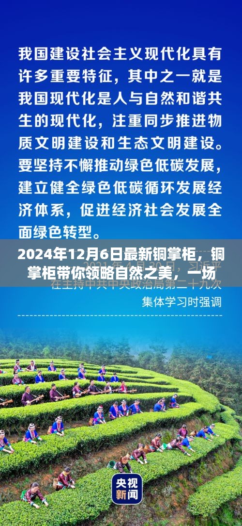 銅掌柜帶你領略自然之美，一場尋找內心平靜的奇妙旅程（最新資訊）