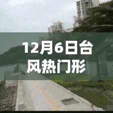 全面步驟指南，追蹤和理解12月6日臺風熱門形成的胚胎過程