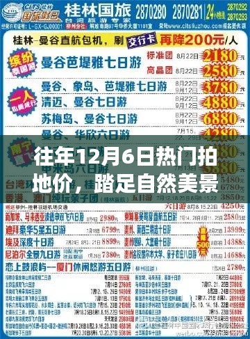歷年十二月六日熱門拍地價(jià)背后的旅行故事，探尋自然美景，尋覓心靈寧靜之旅