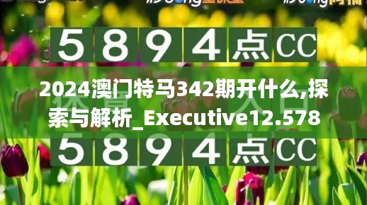 2024澳門特馬342期開什么,探索與解析_Executive12.578