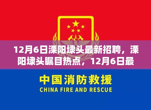 12月6日溧陽埭頭最新招聘信息揭秘，矚目熱點崗位一網(wǎng)打盡