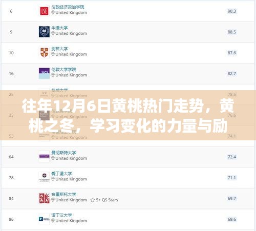 黃桃之冬，揭秘歷年熱門走勢(shì)，勵(lì)志學(xué)習(xí)之旅開啟的力量與變化