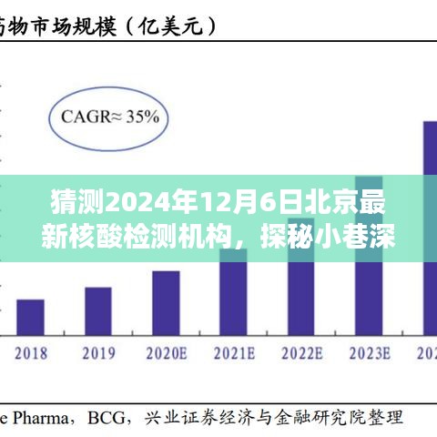 探秘北京隱藏版核酸檢測機(jī)構(gòu)，2024年12月6日最新核酸檢測寶藏揭秘