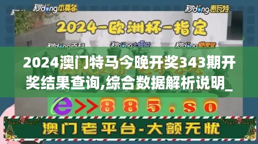 2024澳門特馬今晚開獎(jiǎng)343期開獎(jiǎng)結(jié)果查詢,綜合數(shù)據(jù)解析說明_Kindle7.385