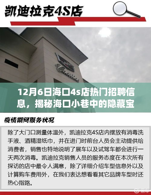?？谔厣?S店招聘信息揭秘，小巷寶藏人才盛宴，職場(chǎng)體驗(yàn)大不同