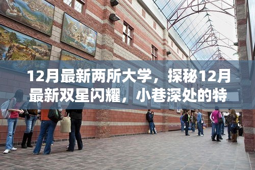 探秘最新雙星閃耀，揭秘十二月新大學(xué)與小巷特色小店中的隱藏時(shí)光