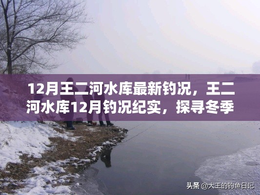 探尋冬季垂釣奧秘與魅力，王二河水庫12月釣況紀(jì)實(shí)