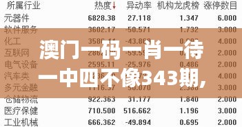 澳門一碼一肖一待一中四不像343期,衡量解答解釋落實_QHD版9.179