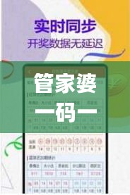 管家婆一碼一肖100準(zhǔn)343期,理性解答解釋落實_UHD9.425