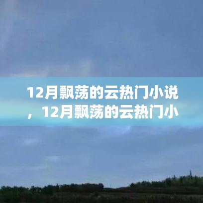 全面測評與介紹，12月飄蕩的云熱門小說
