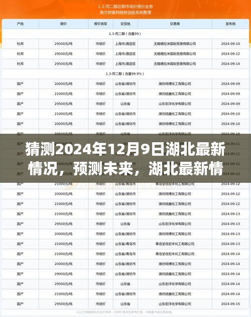 湖北未來(lái)展望，以2024年12月9日觀察節(jié)點(diǎn)預(yù)測(cè)湖北最新情況展望