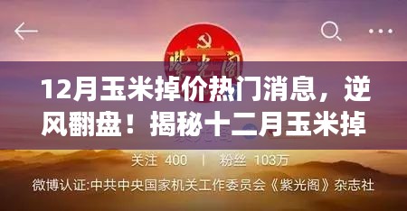 揭秘十二月玉米掉價(jià)背后的故事，逆風(fēng)翻盤，成就無限可能！