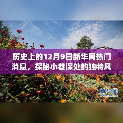 探秘小巷深處的獨(dú)特風(fēng)味，歷史上的十二月九日新華網(wǎng)熱門消息深度解析