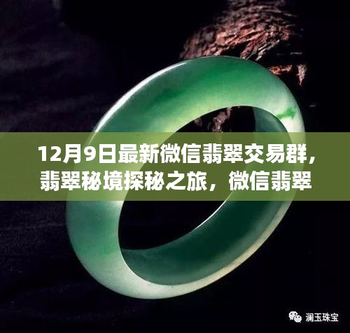 翡翠秘境探秘之旅，微信交易群新啟程與自然美景共舞