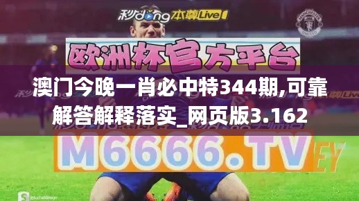 澳門今晚一肖必中特344期,可靠解答解釋落實_網(wǎng)頁版3.162