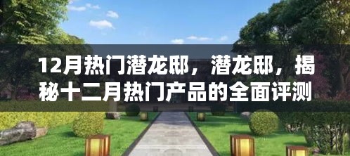 潛龍邸揭秘，十二月熱門產(chǎn)品全面評測與深度介紹