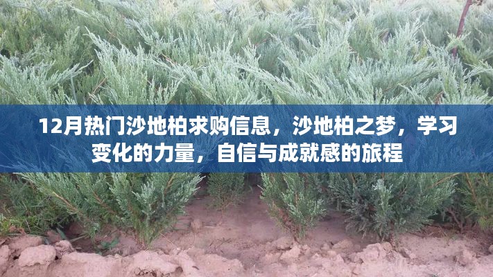 沙地柏之夢，探索學習變化的力量，自信成就感的旅程與最新求購信息