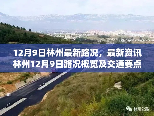 林州最新路況資訊，12月9日交通概覽及要點解析