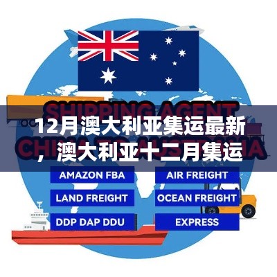12月澳大利亞集運(yùn)最新，澳大利亞十二月集運(yùn)最新動(dòng)態(tài)解析