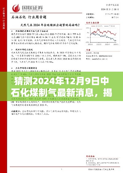 揭秘未來，中石化煤制氣最新動(dòng)態(tài)與前瞻猜測 —— 展望 2024 年 12 月 9 日的最新消息