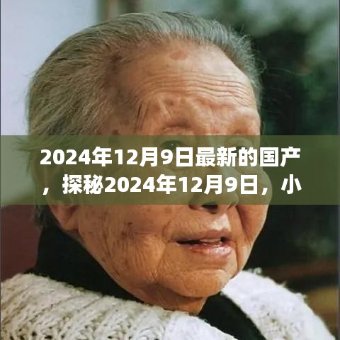 探秘隱藏瑰寶，特色小店奇遇之旅在2024年12月9日揭曉
