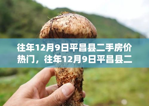 往年12月9日平昌縣二手房?jī)r(jià)解析，熱門趨勢(shì)與市場(chǎng)洞察
