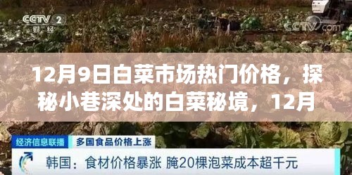 指手畫腳 第4頁