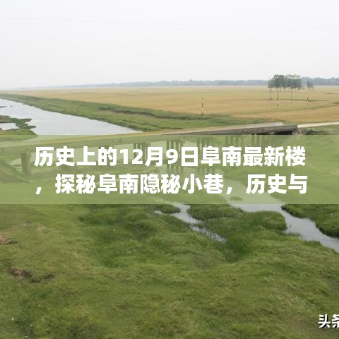 探秘阜南隱秘小巷，最新樓的歷史與美食交匯點(diǎn)——12月9日阜南最新樓揭秘之旅