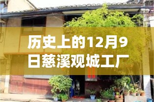 慈溪觀城工廠招聘盛況，舊日崗位與自然美景的探索之旅