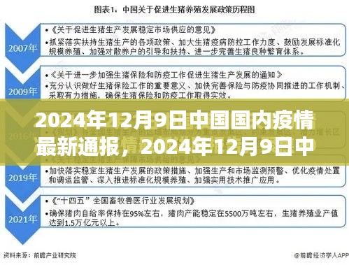 2024年12月9日中國疫情最新通報詳解，了解現(xiàn)狀與應對措施