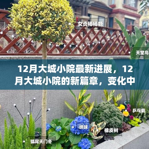 12月大城小院新進(jìn)展，變化中的學(xué)習(xí)，自信與成就感的綻放