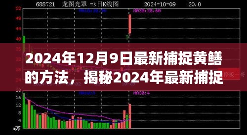 揭秘高效生態(tài)捕捉黃鱔新方法，2024年最新捕捉技巧分享。