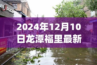 揭秘龍?zhí)陡＠铼毺仫L情與最新房價探索之旅（2024年12月10日最新房價更新）