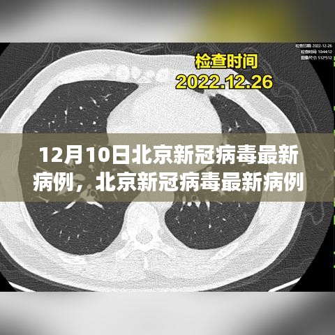 北京新冠病毒最新病例分析報告，深度解讀（截至12月10日）