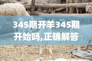 345期開羊345期開始嗎,正確解答落實(shí)_bundle7.980