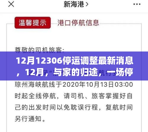 12月停運調(diào)整心系歸途，12306最新消息與溫情之旅向家出發(fā)