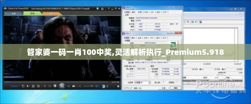 管家婆一碼一肖100中獎,靈活解析執(zhí)行_Premium5.918