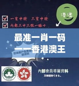 最準(zhǔn)一肖一碼一一香港澳王一王,數(shù)據(jù)資料解釋定義_高級(jí)款9.295