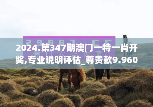 2024.第347期澳門一特一肖開獎,專業(yè)說明評估_尊貴款9.960