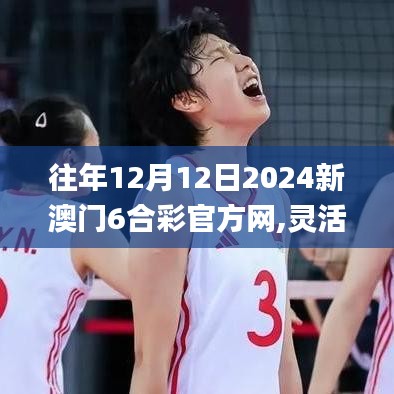 往年12月12日2024新澳門(mén)6合彩官方網(wǎng),靈活設(shè)計(jì)操作方案_HDR版8.222