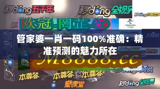 管家婆一肖一碼100%準確：精準預(yù)測的魅力所在