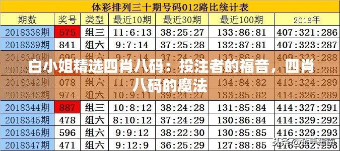 白小姐精選四肖八碼：投注者的福音，四肖八碼的魔法