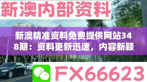 新澳精準資料免費提供網(wǎng)站348期：資料更新迅速，內容新穎
