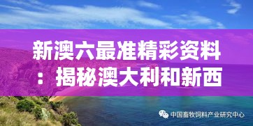 新澳六最準(zhǔn)精彩資料：揭秘澳大利和新西蘭背后的魅力