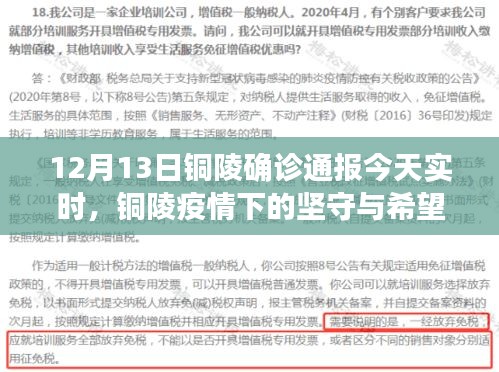 銅陵疫情下的堅(jiān)守與希望，最新實(shí)時(shí)確診通報(bào)觀察