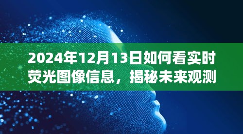 揭秘未來(lái)觀測(cè)，深度解讀實(shí)時(shí)熒光圖像信息，預(yù)見(jiàn)未來(lái)視界（2024年實(shí)時(shí)熒光圖像指南）