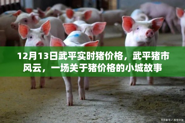 武平豬市風(fēng)云，小城故事中的實(shí)時(shí)豬價(jià)格揭秘
